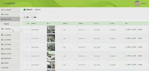 基于springboot vue办公管理系统