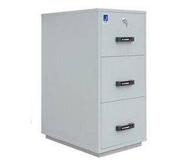 金彩办公家具设备厂 批发供应防火防磁柜与办公平台开发制作