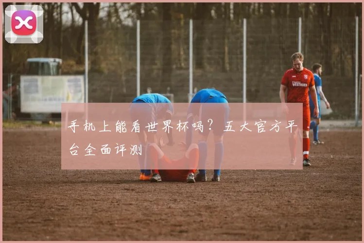 手机上能看世界杯吗?五大官方平台全面评测